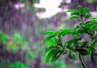 Previsão do tempo hoje: chuva forte atinge o Sul e frente fria avança