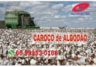 Cotações Agropecuárias