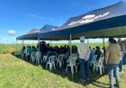 Aprosoja Tocantins convida produtores para Dia de Campo em Paraíso do Tocantins com foco em manejo e produtividade