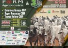 LEILÃO P@RM AGROPECUARIA & AGROPECUARIA 3BA