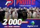 2º LEILÃO VIRTUAL PROTEC CREDITO RURAL