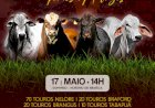LEILÃO VIRTUAL FAZENDA NOVA