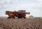 Agronegócio emprega mais de 26? população ocupada no Brasil