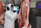 UE mantém demais países do Mercosul como exportadores de carne