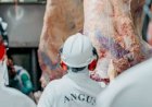 Em nota, Programa Carne Angus Certificada se manifesta sobre decisão da União Europeia