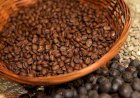 Brasil exportou 3,1 milhões de sacas de café