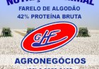 Cotações Agropecuárias