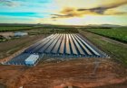 Projeto Manuel Alves avança com energia solar e incentivo à produção sustentável