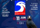 Leilão Virtual Falcão