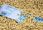 Soja tem preço estável, mas custo preocupa produtores