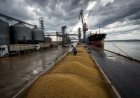 Risco de novas tarifas dos EUA coloca agro brasileiro em alerta