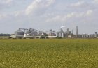 MT tenta converter força do agro em indústria