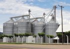 Certificação de armazéns agora é opcional