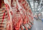 Exportações de carne bovina de MT registram recordes em maio/26