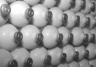 Acrimat alerta para a venda casada de vacinas contra as clostridioses