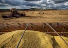 Demanda aquecida sustenta negócios com soja, apesar da ampla oferta global