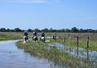 Mato Grosso do Sul recebe Fórum da Pecuária Sustentável