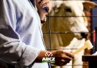 Leilões e shoppings da 19ª ExpoGenética começam a partir de 11 de agosto