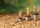 Estoque de Cédulas de Produto Rural atinge R$ 565 bilhões em maio de 2026