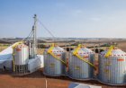 Déficit de armazenagem causa perda de R$ 88,3 bilhões a produtores de soja e milho