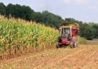 Cotações Agropecuárias