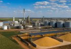 BNDES aprova R$ 618 milhões para planta de etanol de cereais em Minas Gerais
