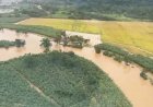 Sul do Brasil entra em alerta para chuva intensa; veja as áreas de maior risco