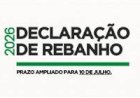 Produtor gaúcho tem até 10 de julho para fazer a declaração anual de rebanho