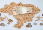 Oferta restrita limita negócios de soja no Brasil, mas preços são firmes; confira as cotações