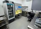 Governo de SP quadruplica produção de insumos para diagnóstico de brucelose e tuberculose