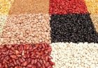 Mercado do feijão tem movimentos distintos