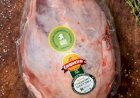 Rotulagem obrigatória de origem da carne bovina/suína custaria US$ 1 bilhão/ano nos EUA