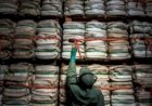 Mercado bilionário atrai uma nova corrida ao Brasil