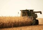 Cotações Agropecuárias