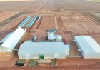SLC Agrícola inaugura maior algodoeira da empresa no Piauí com capacidade para 80 fardos por hora
