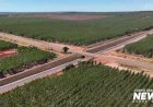 MS-338 tem túneis para hexatrens e avança com investimentos de R$ 329 milhões