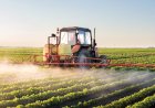 Alta dos fertilizantes reacende alerta para custos da próxima safra e exige atenção dos produtores