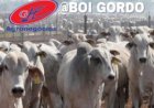Veja aqui Cotações mistas do Agro