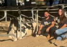 Fazenda Belluzzi vira fenômeno nas redes com produção guiada por dados e economia circular