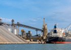 Antaq aprova edital de terminal de fertilizantes no Porto de Itaqui