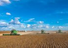 Três estados do Matopiba somam cerca de 5 milhões de hectares de soja, aponta levantamento