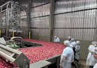 Preços da indústria caem 0,83porcento em julho, mostra IBGE