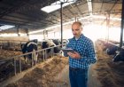 Falso empresário é preso após golpes de R$ 150 mil contra produtores rurais em Goiás