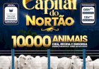 7º LEILÃO CAPITAL DO NORTÃO