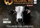 16º LEILÃO NELORE WS