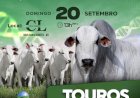 4º LEILÃO PRESENCIAL NELORE PAU D'ALHO