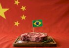 Efeito-China: exportações de carne bovina brasileira in natura recuam 27porcento em agosto/26