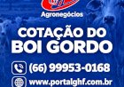 Leitura rápida: consulte os principais indicadores da pecuária