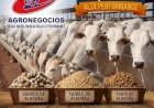 Cotações Agropecuárias