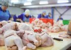 China exporta frango até 20porcento mais barato e ameaça mercado brasileiro